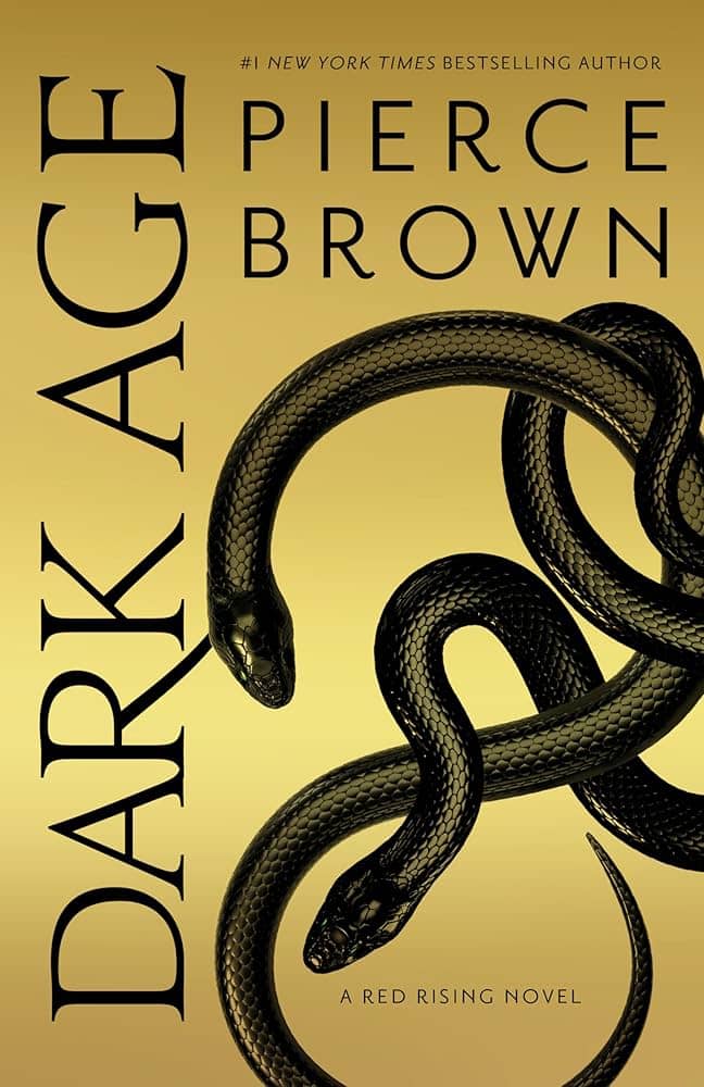Dark Age Book